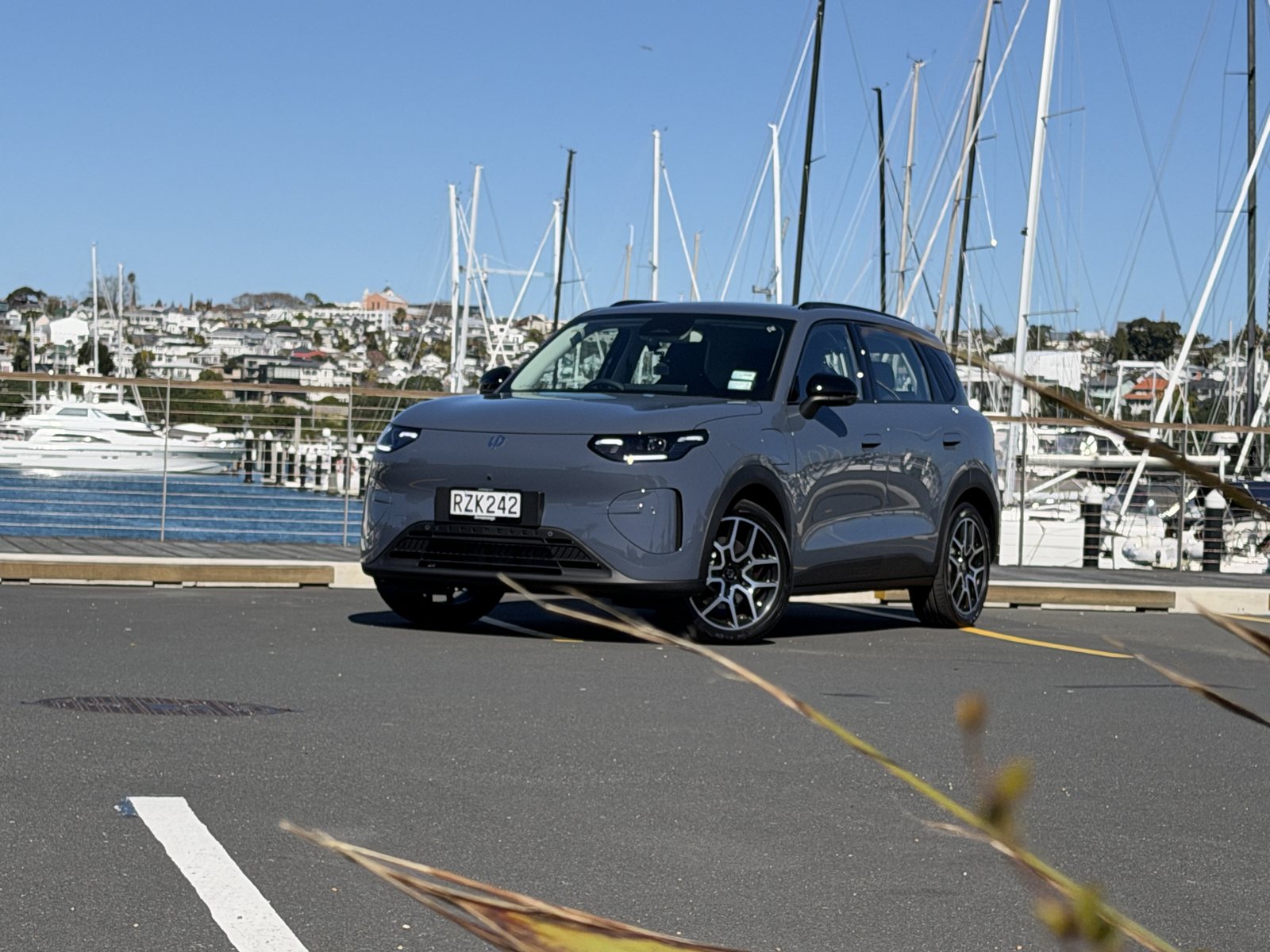 Leapmotor in New Zealand
