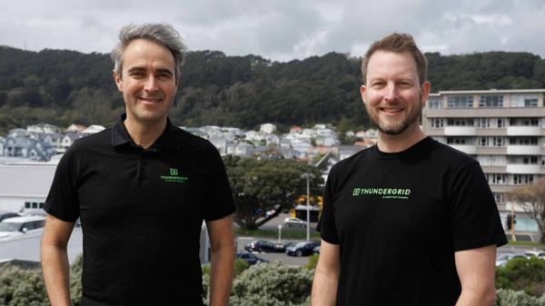 Thundergrid calls for long-term EV roadmap